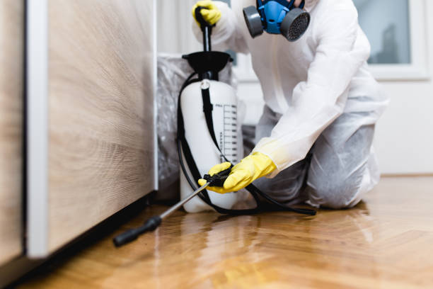 Best Insect Control  in Oneonta, AL