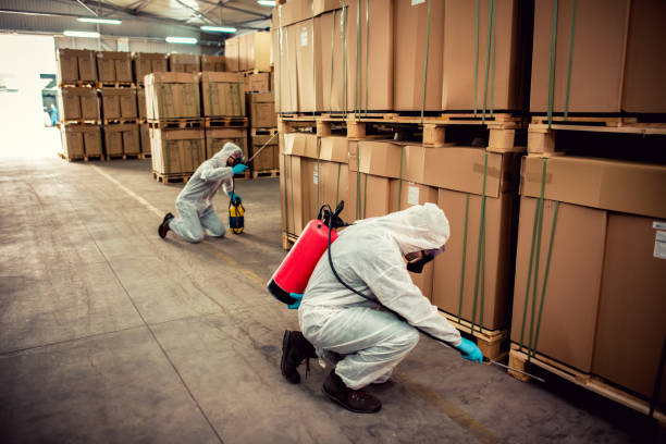 Best Local Pest Control Services  in Oneonta, AL