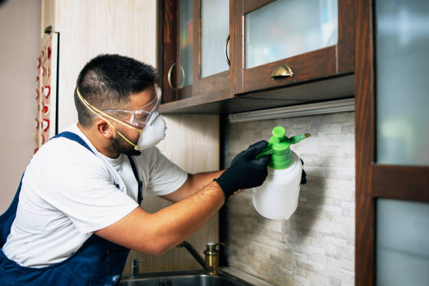 Trusted Oneonta, AL Pest Control Experts