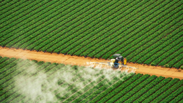 Best Insect Control  in Oneonta, AL
