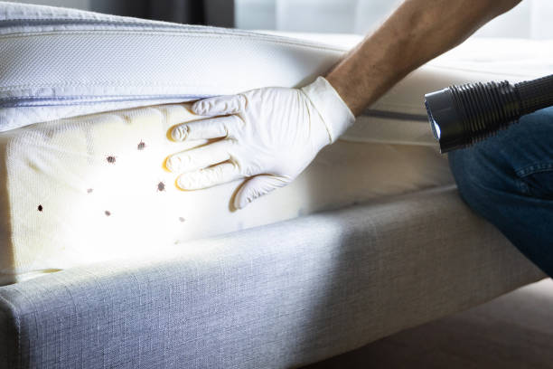 Best Exterminator Services  in Oneonta, AL