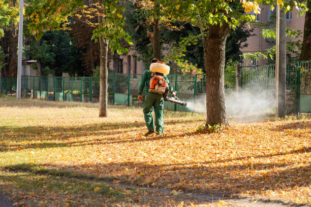 Pest Prevention Services in Oneonta, AL